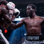 terence-crawford-punch