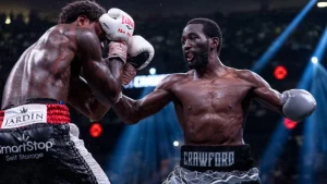 terence-crawford-punch